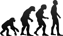 Human evolution resized 600